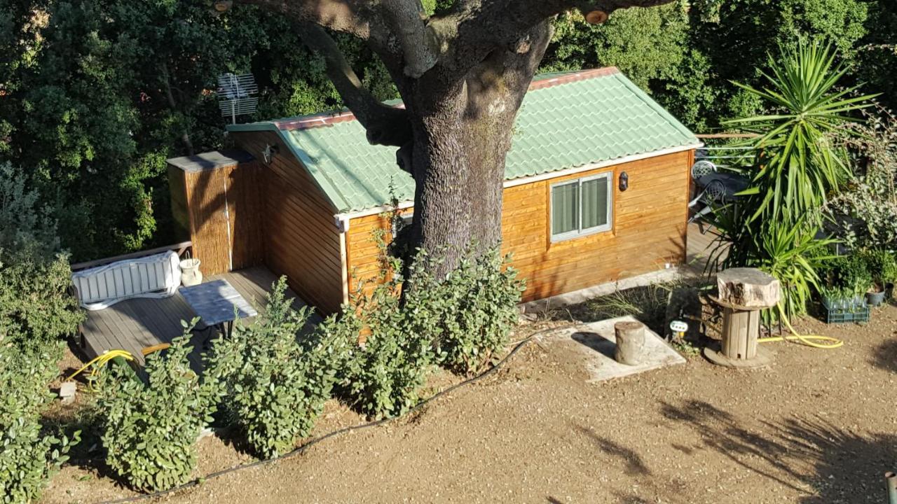 Le Petit Chalet Porticcio  Εξωτερικό φωτογραφία
